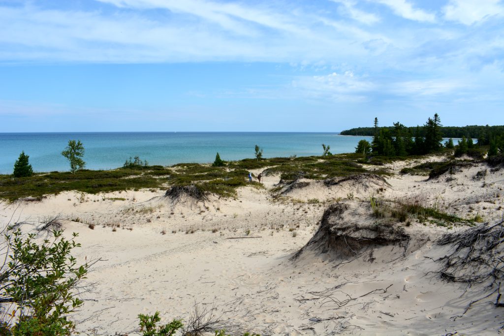 DSC_1354 (1)